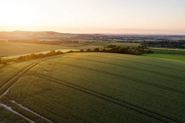 下午黄昏时分 在繁茂的夏季英国乡村上空掠过无人驾驶飞机的景观图像 — 图库照片
