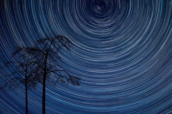 Digitales Verbundbild Von Sternenpfaden Rund Polaris Mit Natürlichen Baumsilhouetten — Stockfoto