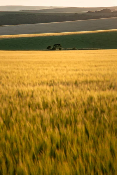 Beautiful Late Summer Afternoon Light Rolling Hills English Countryside Landscape — Stock Photo, Image