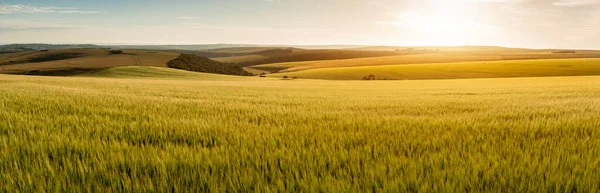 Поздним Летним Дневным Светом Над Катящимися Шипами Английском Сельском Пейзаже — стоковое фото