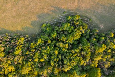 Sersemletici drone manzara görüntüsü yemyeşil yaz İngiliz kırsalında öğleden sonra ışığı altında