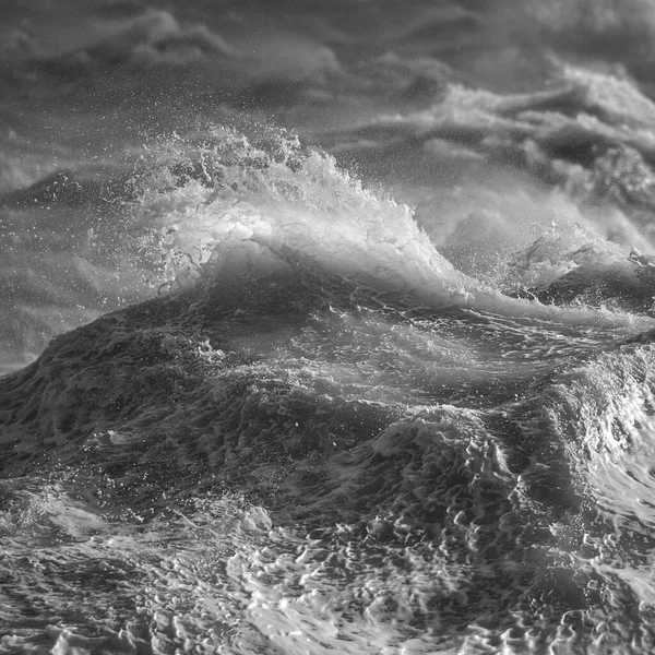 Splendida Immagine Rottura Onda Individuale Cresta Durante Violenta Tempesta Ventosa — Foto Stock