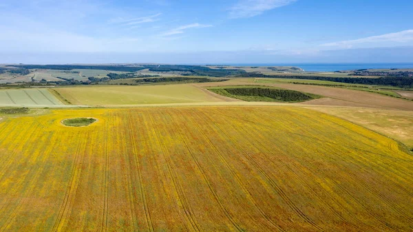 Ngiliz Kırsalındaki Haşhaş Tarlasının Güzel Yüksek Uçan Drone Manzarası Yaz — Stok fotoğraf