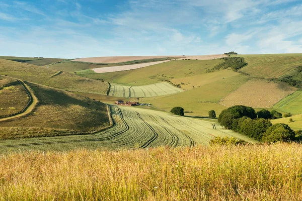 Beautiful Landscape Image Agricultural English Countryside Warm Late Afternoon Summer — Stock Photo, Image