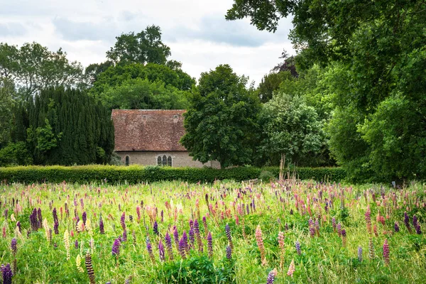 Vacker Sommar Äng Levande Lupin Blommor Engelsk Landsbygd Trädgård — Stockfoto