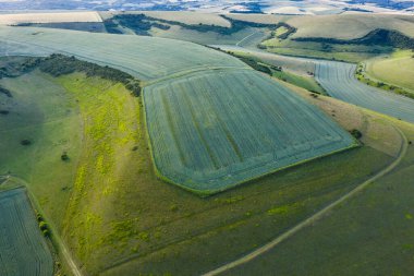 Öğleden sonra gün batımında İngiliz kırsalının güzel insansız hava aracı görüntüsü. Yaz ışığı.