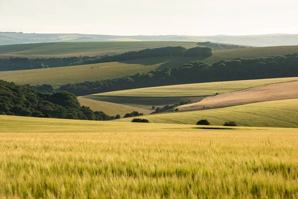 Beautiful Late Summer Afternoon Light Rolling Hills English Countryside Landscape — Stock Photo, Image