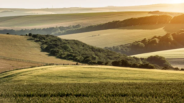 美丽的夏末午后 阳光笼罩在英格兰乡村的群山之上 明亮而温暖的灯光闪烁着 — 图库照片