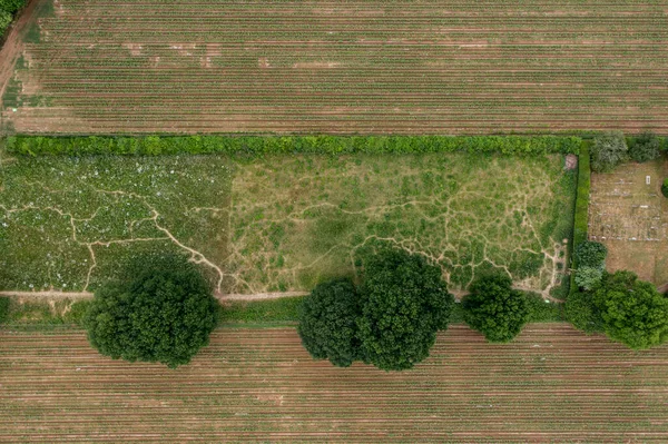 Vista Olho Pássaro Drone Voador Alto Prado Flor Selvagem Paisagem — Fotografia de Stock