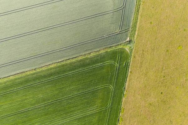 Vacker Hög Flygande Drönare Landskap Bild Böljande Kullar Engelska Landsbygden — Stockfoto