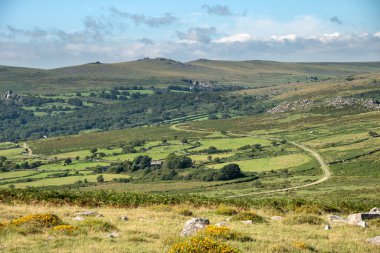 Yaz aylarında Dartmoor Ulusal Parkı boyunca uzanan çok güzel manzara.