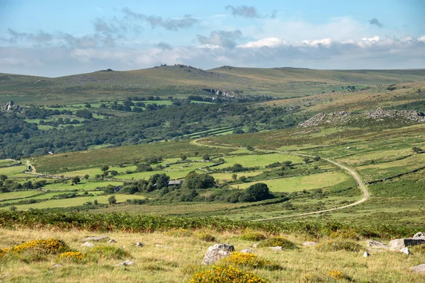Prachtig Uitzicht Het Dartmoor National Park Zomer Met Een Breed — Stockfoto