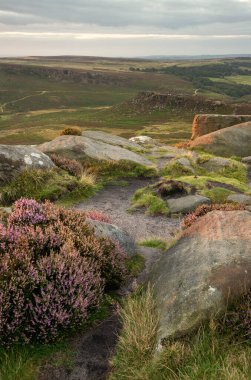 Higger Tor yakınlarındaki Tepe Bölgesi 'nde yaz sonlarında sergilenen muhteşem manzara.