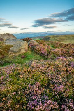 Higger Tor yakınlarındaki Tepe Bölgesi 'nde yaz sonlarında sergilenen muhteşem manzara.