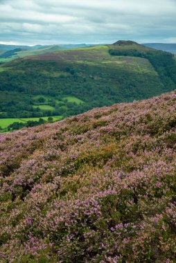 Yaz sonlarında Bamford Edge in Peak District Ulusal Parkı 'nın çok güzel bir manzarası var.