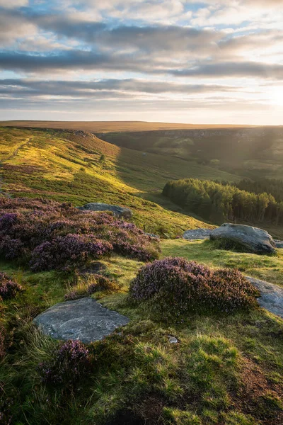 Oszałamiający Widok Panoramę Późnego Wrzosowiska Letniego Peak District Wokół Higger — Zdjęcie stockowe