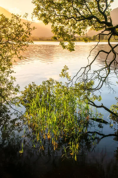 Prachtige Zonsopgang Landschapsbeeld Kijken Loweswater Het Lake District Richting Low — Stockfoto