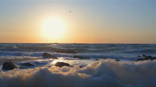 Het Natuurlijke Witte Schuim Aan Kust Van Zwarte Zee — Stockvideo