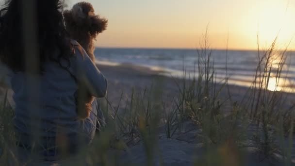 Жінка Собакою Піщаному Морському Пляжі Концептуальна Свобода Подорожі Свята Зображення — стокове відео
