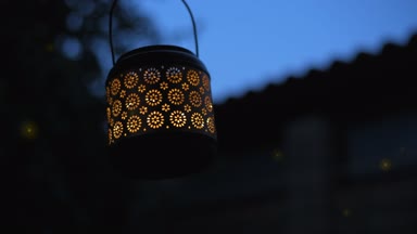 Cinemagraph - fener ile sihirli ışıkları gece ateş böcekleri. Romantizm kavramı. Hareketli fotoğraf.