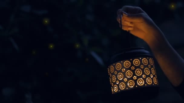 Kvinnlig Hand Håller Lantern Med Magiska Ljus Eldflugor Natten Begreppet — Stockvideo