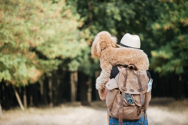 Reisenden Mit Rucksack Mit Hund Und Blick Auf Wald Konzept — Stockfoto