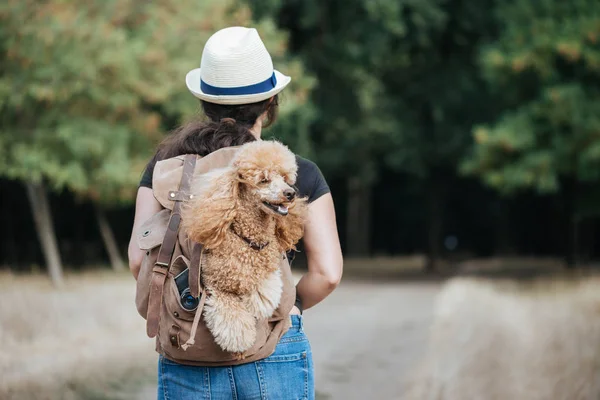 Woman Traveler Dog Backpack Looking Forest Concept Travel — Fotografia de Stock