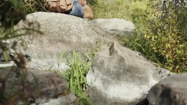 Жінка Мандрівник Рюкзаком Тримає Собаку Дивиться Природний Каньйон Видом Гірську — стокове відео
