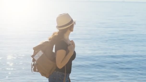 Жінка Подорожує Собакою Рюкзаку Дивиться Море Концепція Подорожей — стокове відео