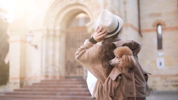 Woman Traveler Dog Backpack Examines Architectural Monument Concept Travel — Stock Video