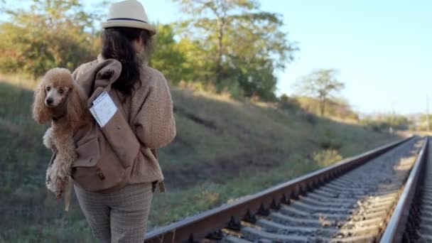 Woman Dog Backpack Traveling Railway Autumn Day — Stock Video