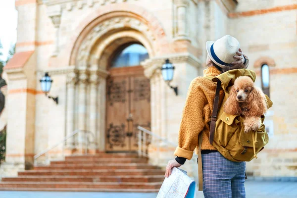 Mulher Viajante Com Cão Mochila Examina Monumento Arquitetônico Conceito Viagem — Fotografia de Stock