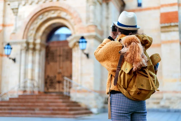 Seyahat Ederken Bir Kamerayla Resim Yapma Sırt Çantası Köpek Ile — Stok fotoğraf