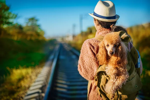 Mulher Com Cão Mochila Viajando Trem Dia Outono — Fotografia de Stock