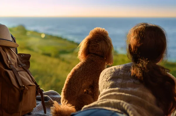 Woman Traveler Dog Sitting Car Trunk Sea Watching Sunset — Stock Photo, Image
