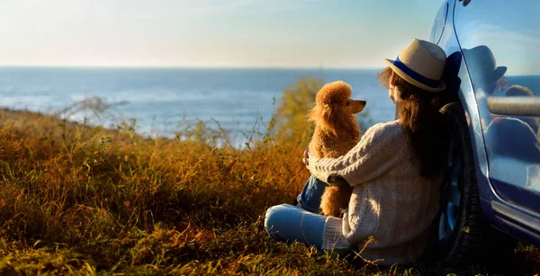 Donna Viaggiatore Con Cane Sta Godendo Bel Tramonto Sul Mare — Foto Stock