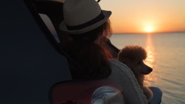 Kvinna Resenär Med Hund Sitter Bilen Stammen Nära Havet Solnedgången — Stockvideo