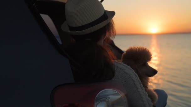 Mujer Viajero Con Perro Sentado Maletero Del Coche Cerca Del — Vídeo de stock