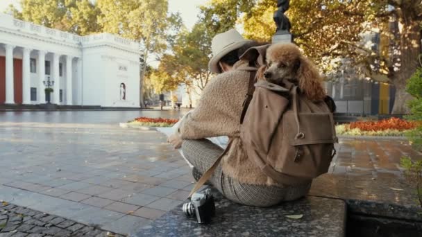 Жінка Мандрівник Дивиться Напрямок Пошуку Карті Місцевості Під Час Подорожі — стокове відео