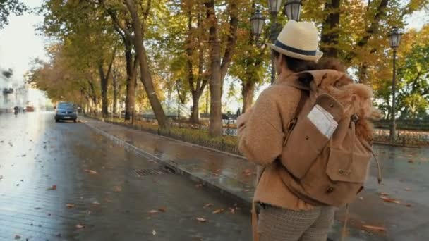 Mujer Viajera Con Perro Mochila Paseando Parque Concepto Viaje — Vídeo de stock