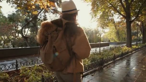 Mujer Viajera Con Perro Mochila Paseando Parque Concepto Viaje — Vídeo de stock