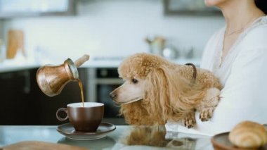 Cinemagraph - kahve bir fincan içine dökme. Onu köpek kadınla evde kahvaltı var. Yaşam fotoğraf. 