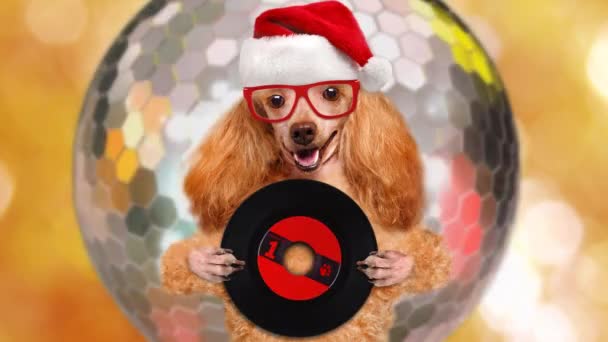 Cinemagraph Chien Enregistrement Vinyle Casque Musique Noël Photo Mouvement — Video