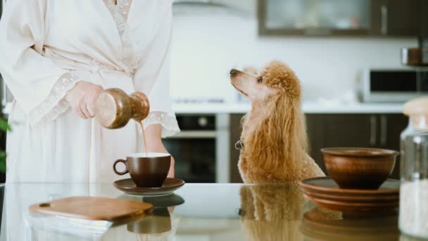 Cinemagraph 若い女性のカップにコーヒーを注ぐします 彼女の犬を持つ女性は 家庭で朝食を持っています リビング フォト — ストック動画