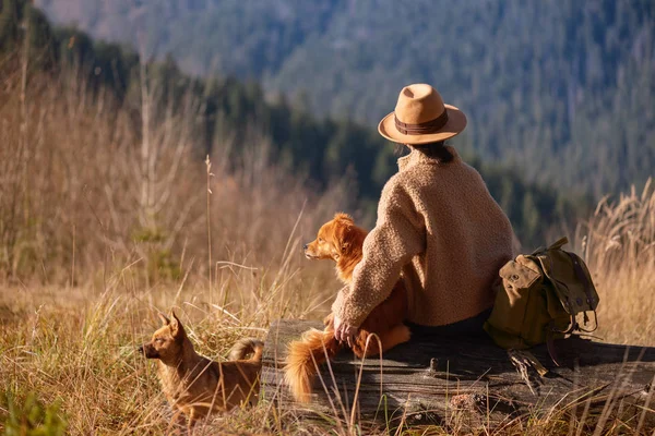 Mujer Viajera Con Sus Perros Disfrutando Puesta Sol Cima Montaña —  Fotos de Stock
