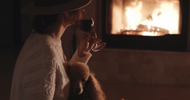 暖炉の背景にワインを飲んだり 床に座っている彼女の犬を持つ女性 — ストック動画