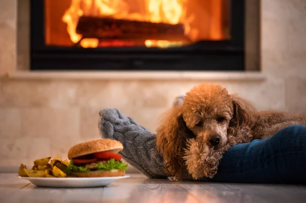 妇女和她的狗坐在地板上 吃汉堡包在壁炉背景 — 图库照片