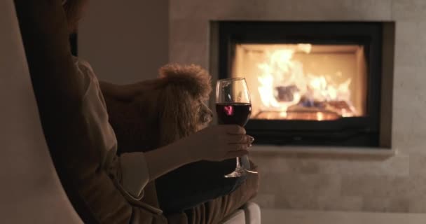 Jovem Com Seu Cachorro Sentado Casa Junto Lareira Bebendo Vinho — Vídeo de Stock