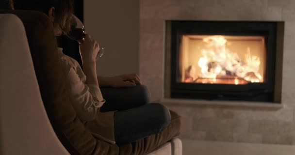 Mujer Joven Con Perro Sentado Casa Junto Chimenea Bebiendo Vino — Vídeo de stock