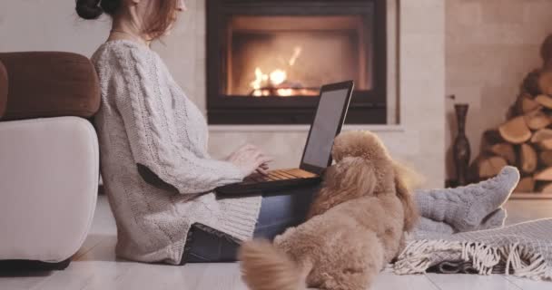 Cinemagraph Jovem Freelancer Mulher Seu Cão Senta Chão Com Laptop — Vídeo de Stock